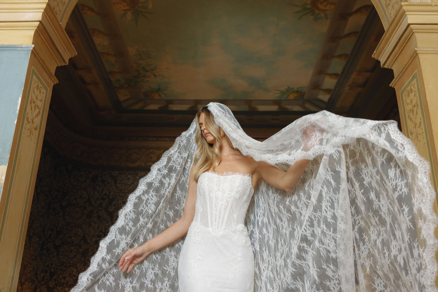 PAULA veil